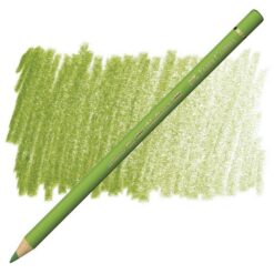 مداد رنگی پلی کروم فابر کاستل تک رنگFaber-Castell Color Pencil Polychromos - 168 - earth green yellowish