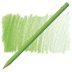 مداد رنگی پلی کروم فابر کاستل تک رنگFaber-Castell Color Pencil Polychromos - 171 - light green