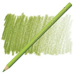 مداد رنگی پلی کروم فابر کاستل تک رنگFaber-Castell Color Pencil Polychromos - 170 - may green