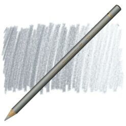 مداد رنگی پلی کروم فابر کاستل تک رنگFaber-Castell Color Pencil Polychromos - 251 - silver