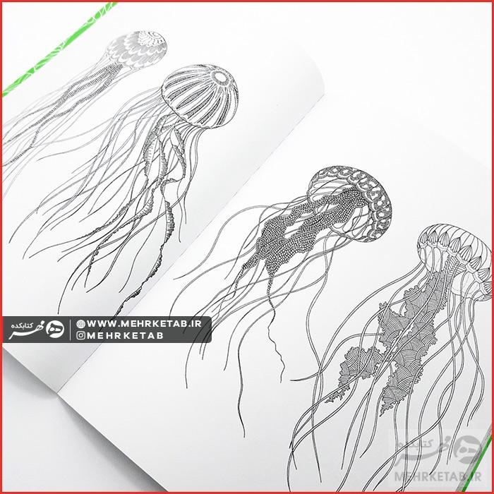 کتاب رنگ آمیزی بزرگسالان (هنر درمانی)  قلمرو حیوانات - تصویر 7