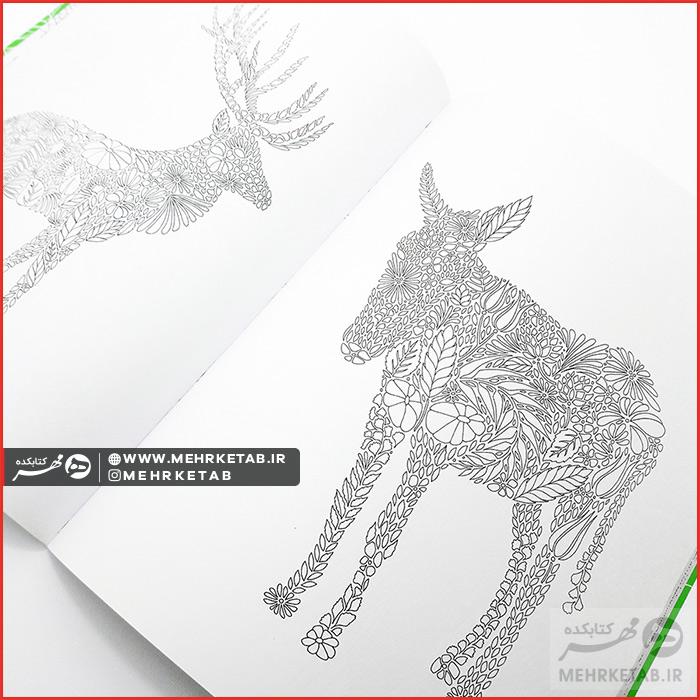کتاب رنگ آمیزی بزرگسالان (هنر درمانی)  قلمرو حیوانات - تصویر 6