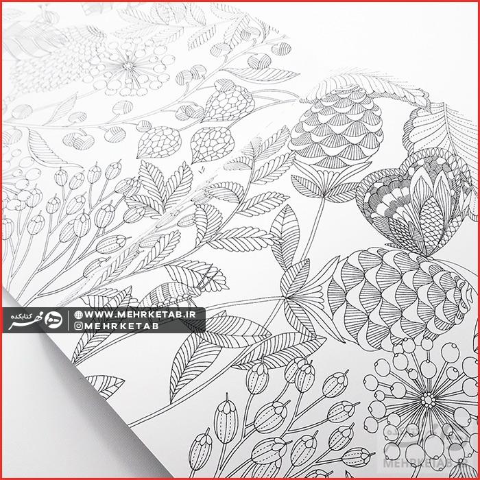 کتاب جنگل های گرمسیری - تصویر 6