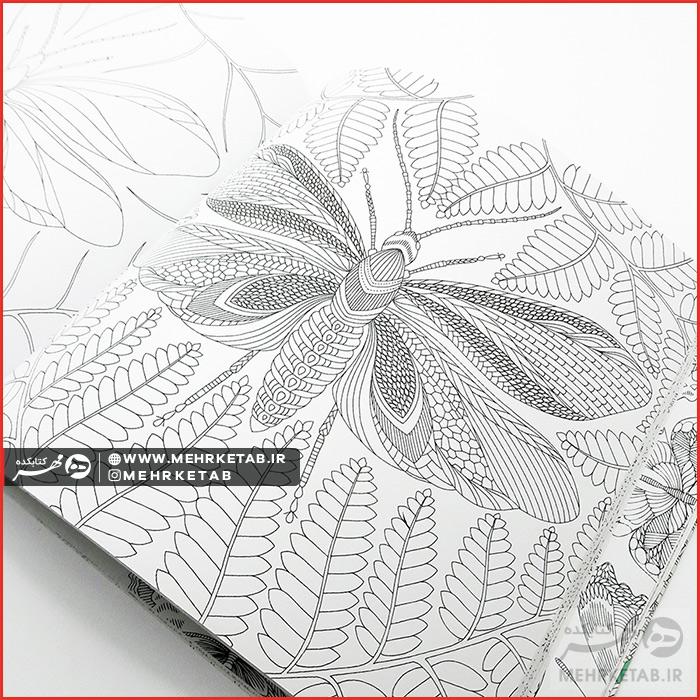 کتاب جنگل های گرمسیری - تصویر 4