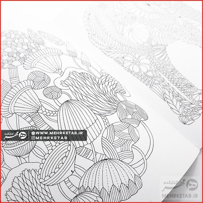 کتاب جنگل های گرمسیری - تصویر 3