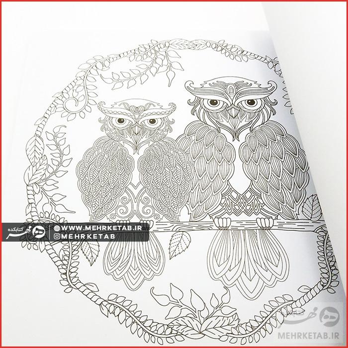 خلاقیت ۵ (تصاویر سحر آمیز) - تصویر 3