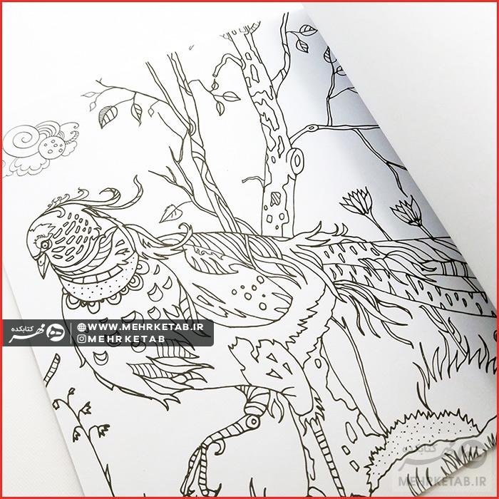 خلاقیت ۶ (پرندگان) - تصویر 2