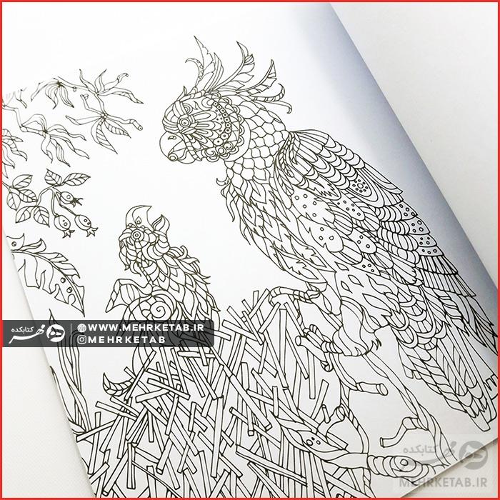 خلاقیت ۶ (پرندگان) - تصویر 4