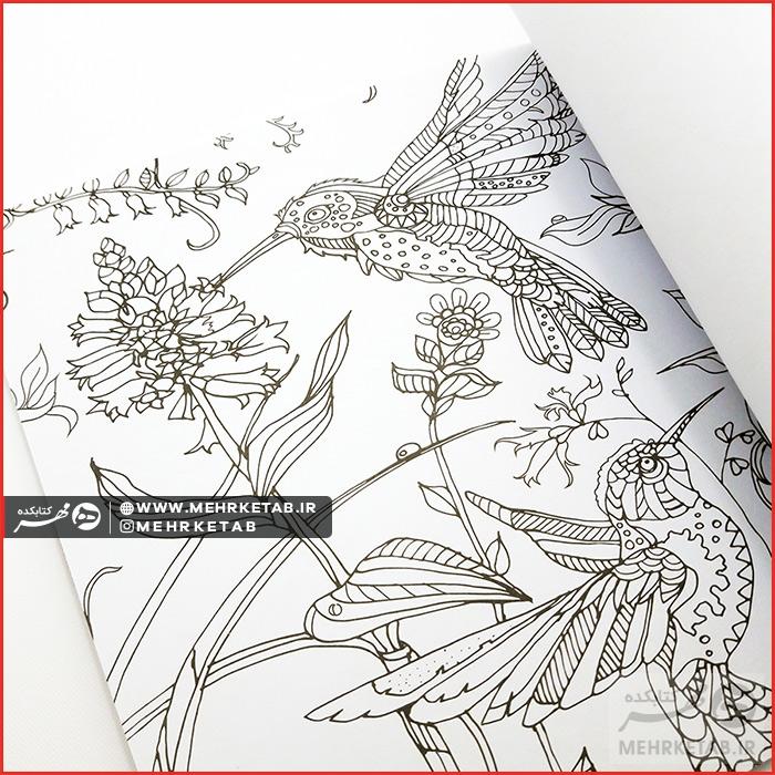 خلاقیت ۶ (پرندگان) - تصویر 3