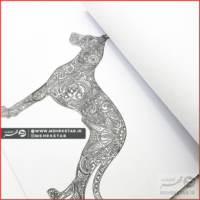 کتاب سرزمین سحر آمیز - تصویر 4