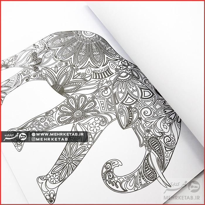 کتاب سرزمین سحر آمیز - تصویر 3