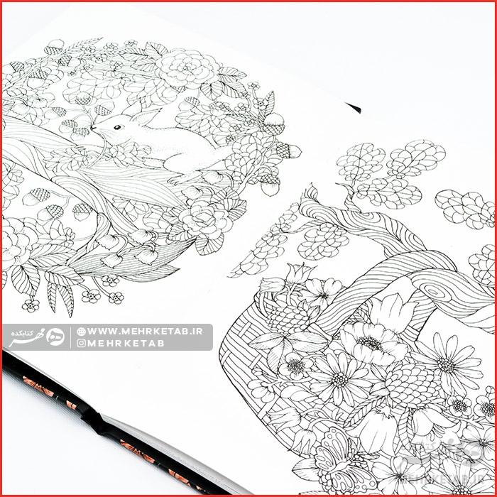 کتاب رنگ آمیزی بزرگسالان باغ سحرگاه - تصویر 2