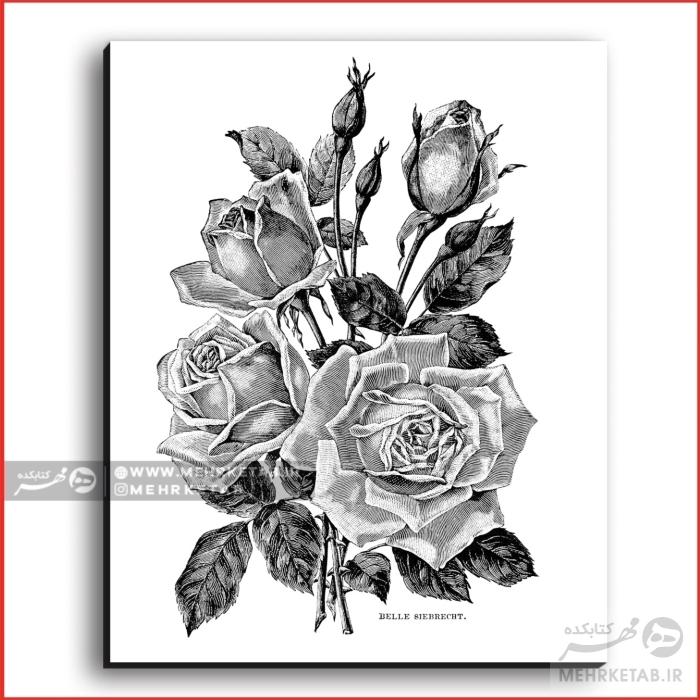 تخته شاسی رنگ آمیزی بزرگسالان کد 1328