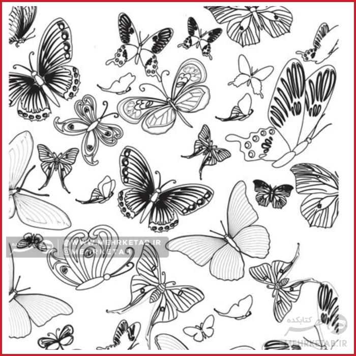 کتاب مغز من و رنگ آمیزی دو ( آرامش در باغ پروانه ها ) - تصویر 2