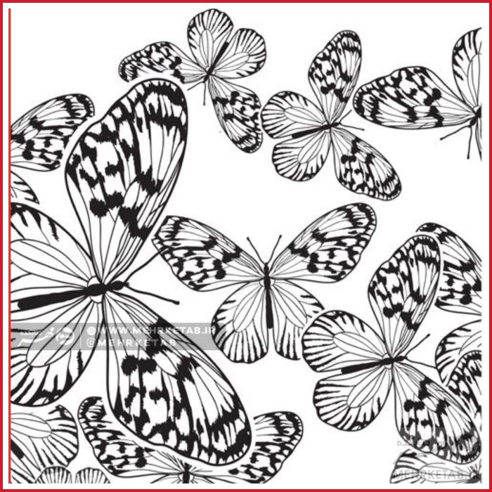 کتاب مغز من و رنگ آمیزی دو ( آرامش در باغ پروانه ها ) - تصویر 3