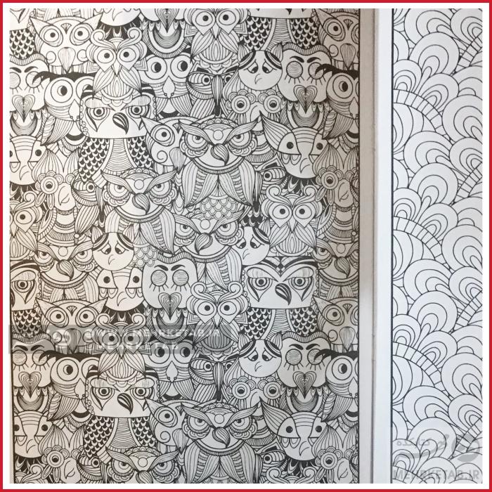 کتاب رنگ آمیزی بزرگسالان - تصویر 2