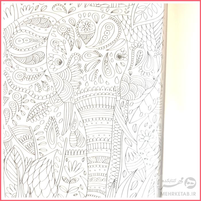 کتاب رنگ آمیزی بزرگسالان دنیای سبز ما - تصویر 2