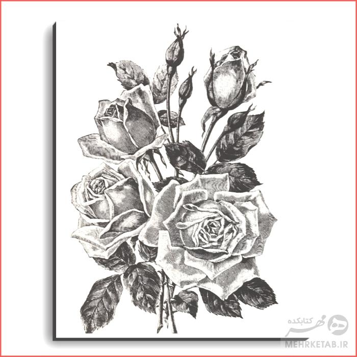تخته شاسی کوچک رنگ آمیزی سایز15*10 CM - تصویر 30