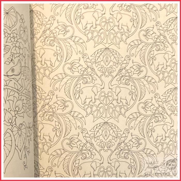 کتاب جنگل سحر آمیز (مقوایی) - تصویر 3