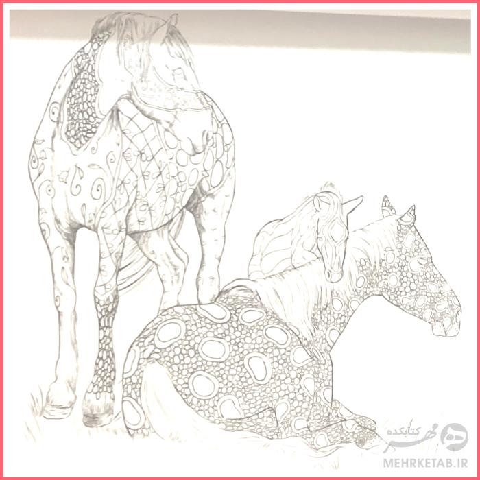 کتاب رنگ آمیزی بزرگسالان اسب خیال - تصویر 5