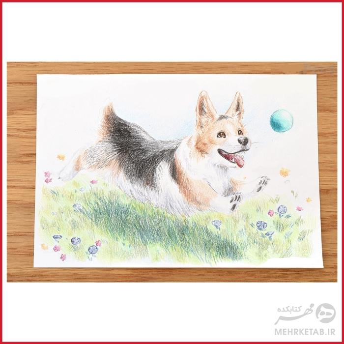 مداد رنگی حرفه ای 36 رنگ تومبو مدل آیروجیتن Tombow Irojiten Color Pencil - 36 Color Set - تصویر 2